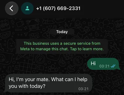実際の WhatsApp の会話:お客様がメッセージを送り、あなたの相棒が答えます。