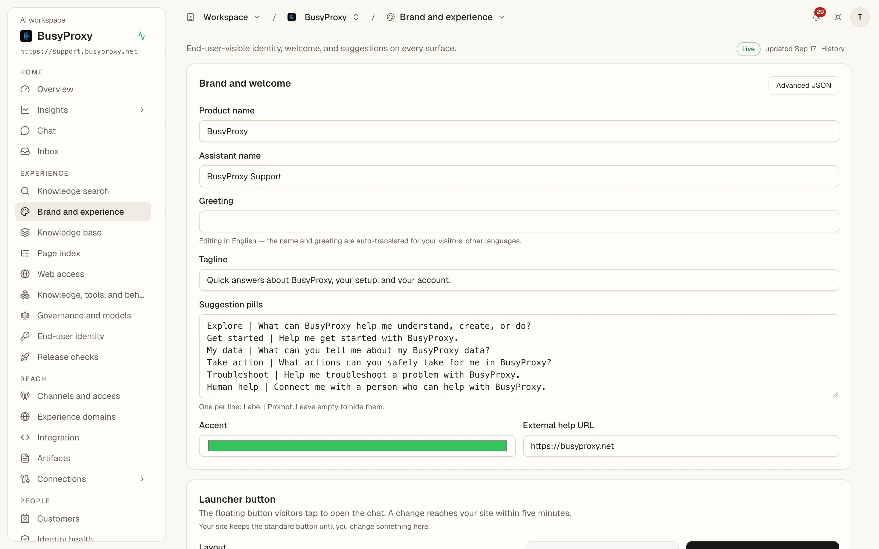 The Console Brand and experience page of a white-label workspace: its own product name and assistant name, tagline, suggestion pills, accent colour, help link and the launcher button settings.